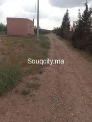 Ferm 8 hectares à vendre région rhamna - 6