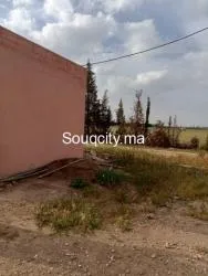 Ferm 8 hectares à vendre région rhamna - 7