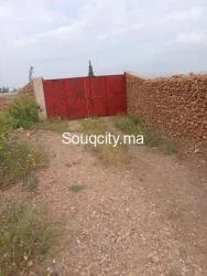 Ferm 8 hectares à vendre région rhamna - 8