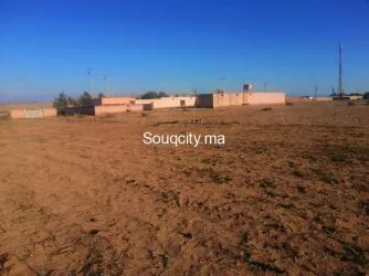 Ferme 4 hectares à vendre à ait amira - 8