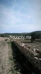 TERRAIN A VENDRE - 3