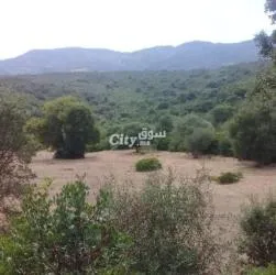 Terrain 200 hectares a vendre