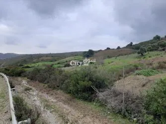 Terrain 200 hectares a vendre