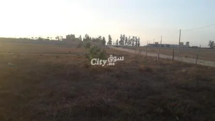 ارض فلاحية للبيع في عين جوهرة تيفلت - 2