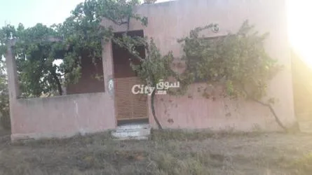 ارض فلاحية للبيع في عين جوهرة تيفلت - 5