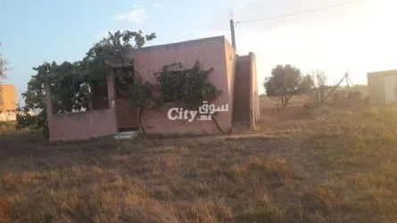 ارض فلاحية للبيع في عين جوهرة تيفلت - 8