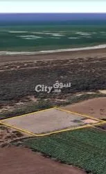Firma de 4000 m² Titre à vendre à Ezemmour - 6
