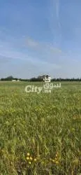 ارض للبيع تيتر فونصي - 2
