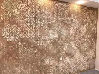 جميع الذيكورات الصباغةالمرجو الاتصال على الرقم الاتي  او عبر الوتساب0602275528 - 13