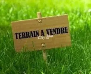 Terrain à vendre