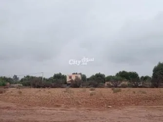 الارض 2500 متر على الطريق عين الشيخ