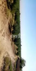 ارض فلاحية للبيع - 3