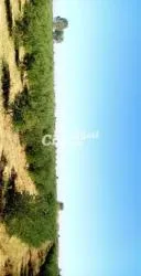ارض فلاحية للبيع - 4