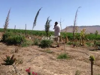 Ferme agricole moderne avec un potentiel immense - 4