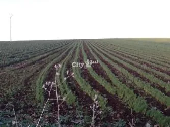 Ferme agricole moderne avec un potentiel immense - 7