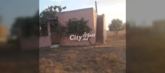 ارض فلاحية للبيع في عين جوهرة تيفلت