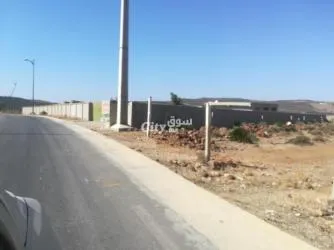 طنجةtan