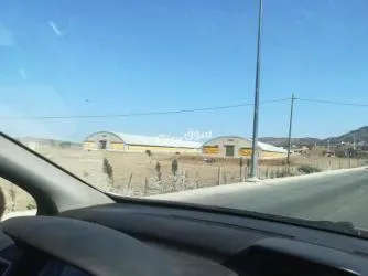 طنجةtan - 2