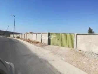 طنجةtan - 4