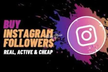 Instagram or YouTube Followers