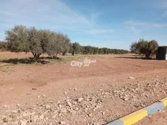 Al-Faqih Ben Saleh vers Beni Mellal