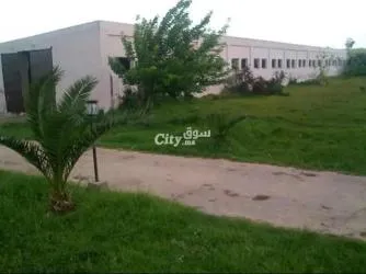 Settat - 5