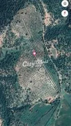 Ferme de 20 Hectares