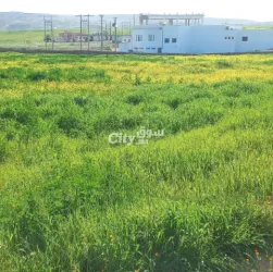 أرض للبيع مساحة 2 هكتار