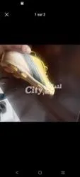جديدة