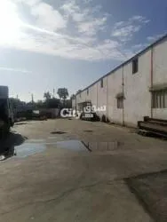 A vendre local de 3 hangars