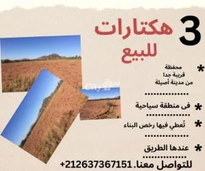 أرض سياحية للبيع