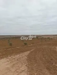 أرض سياحية للبيع - 2