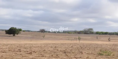 أرض سياحية للبيع - 4