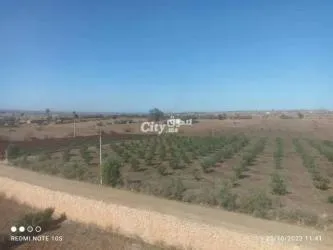 أرض فلاحية - 2