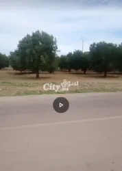 5 hectares dans la ville de Fès - 2