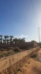 أرض محفظة للبيع - 2