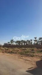 أرض محفظة للبيع - 3
