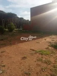 قطعة أرظية للبيع خاصة بالفيلات مساحتها 210 متر بالتجزئة المحيط العرائش - 2