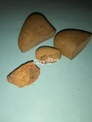 مرجان قديم يعالج الجسم