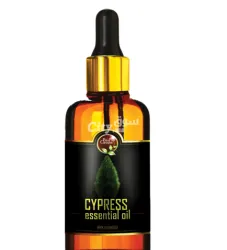 L’huile Essentielle de Cyprès