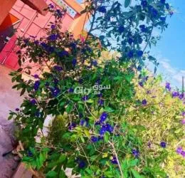 Villa 2000 m² proche agadir lagfifat - 4