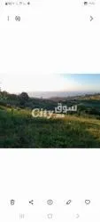 قطعة أرض للبيع طنجة منار - 2