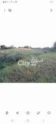 قطعة أرض للبيع طنجة منار - 5