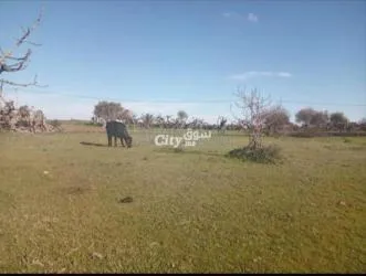 أيت عبو الخميسات