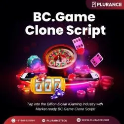 What Sets Plurance Apart as a BC.Game Clone Script Development Company?
