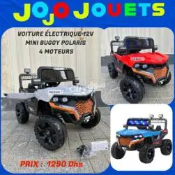 VOITURE ÉLECTRIQUE MINI BUGGY POLARIS 12V