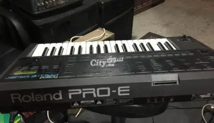 Roland pro E